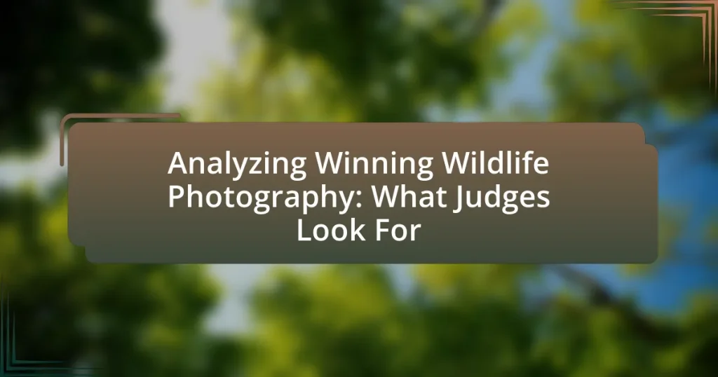 Analyzing Winning Wildlife Photography: What Judges Look For
