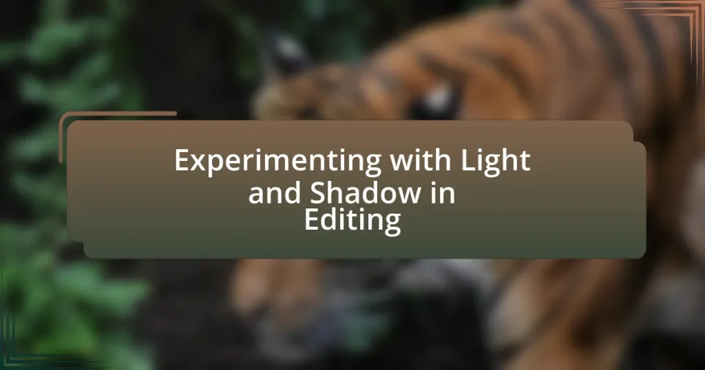 Experimenting with Light and Shadow in Editing