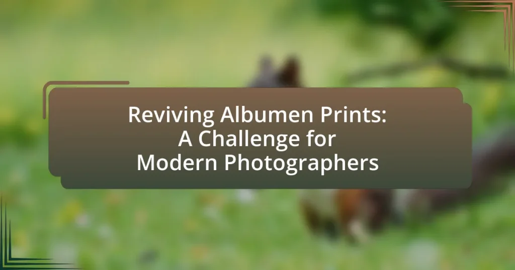 Reviving Albumen Prints: A Challenge for Modern Photographers