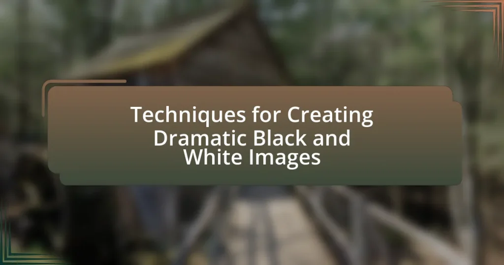 Techniques for Creating Dramatic Black and White Images