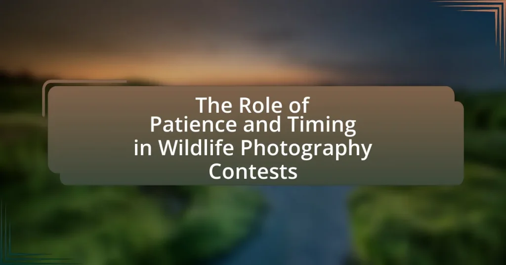 The Role of Patience and Timing in Wildlife Photography Contests