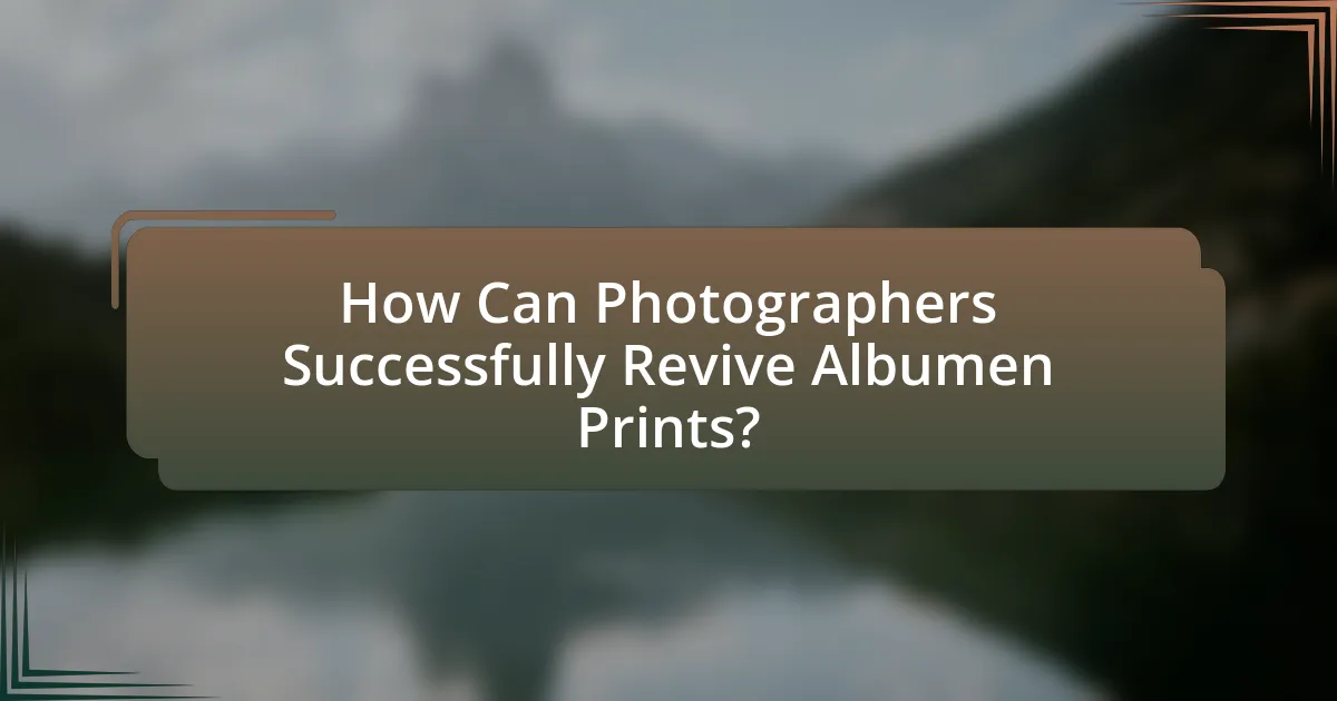 How Can Photographers Successfully Revive Albumen Prints?