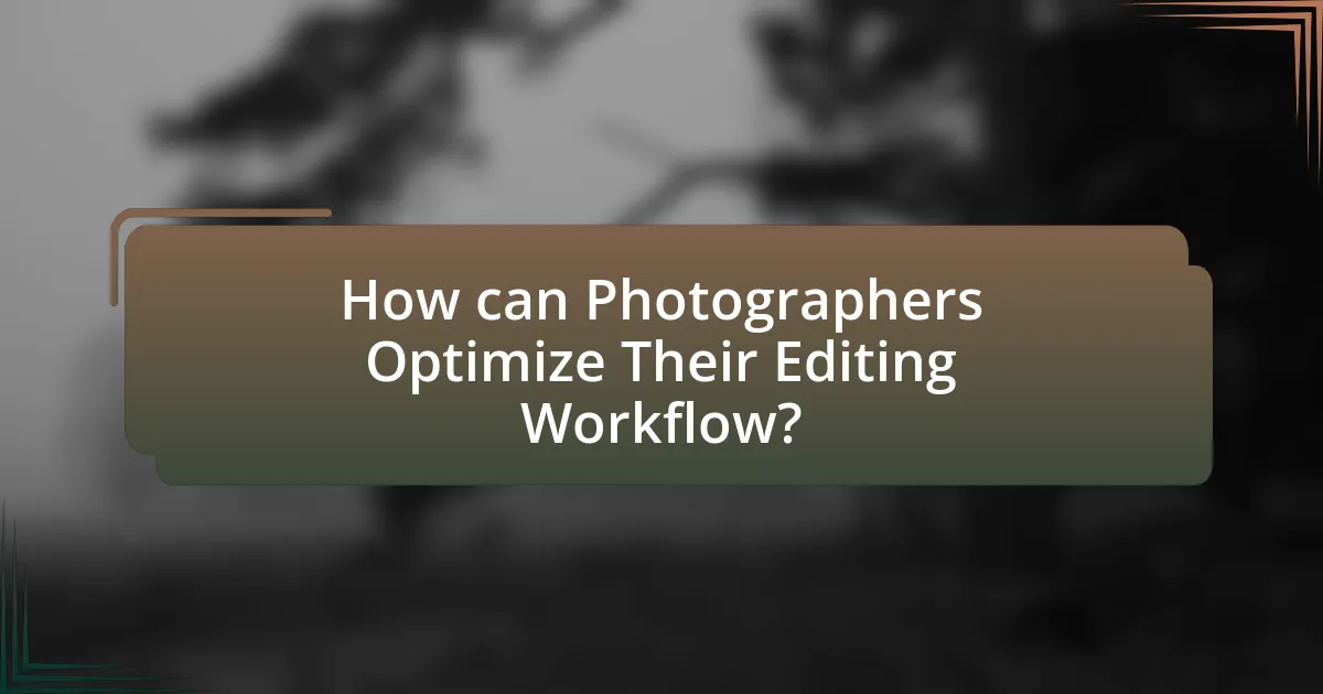 How can Photographers Optimize Their Editing Workflow?