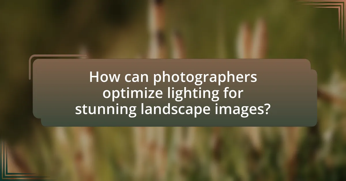 How can photographers optimize lighting for stunning landscape images?