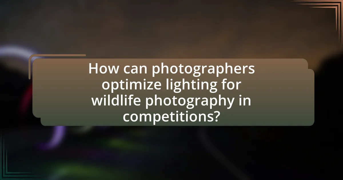 How can photographers optimize lighting for wildlife photography in competitions?
