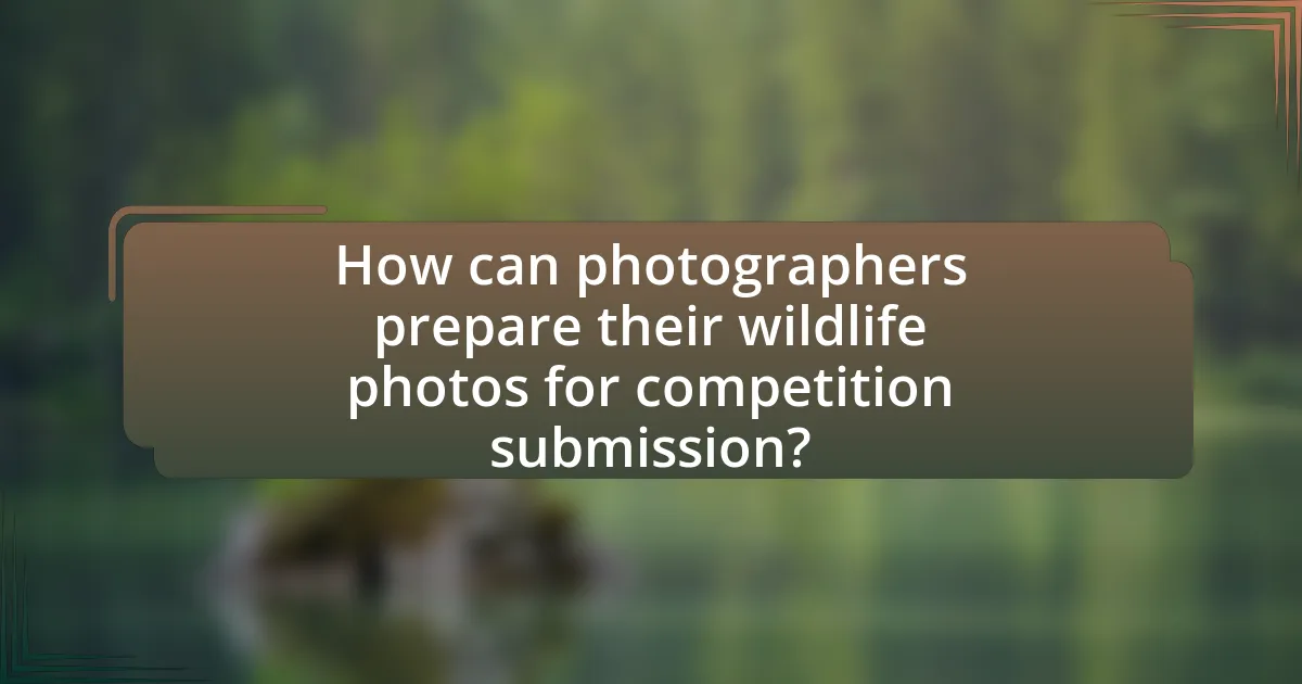 How can photographers prepare their wildlife photos for competition submission?