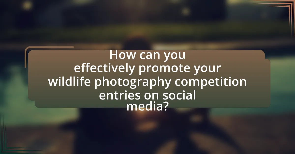 How can you effectively promote your wildlife photography competition entries on social media?