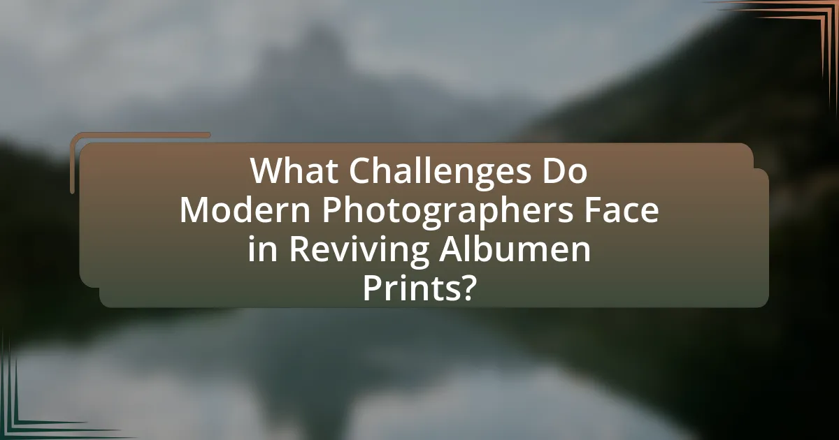 What Challenges Do Modern Photographers Face in Reviving Albumen Prints?