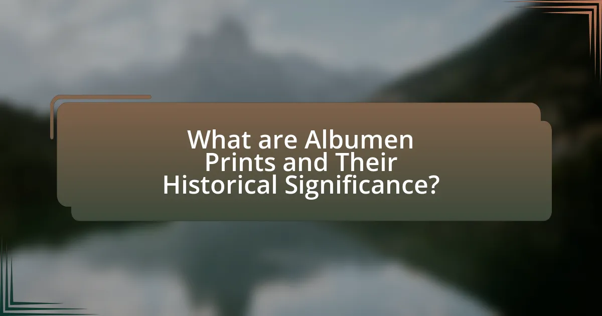 What are Albumen Prints and Their Historical Significance?