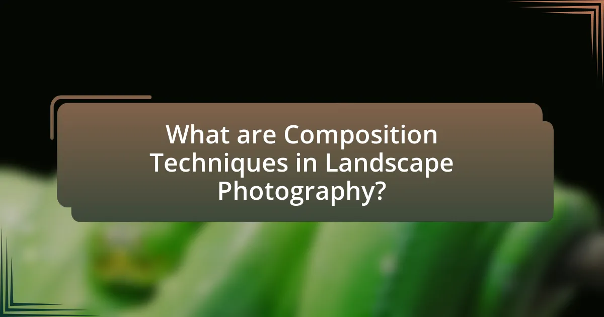 What are Composition Techniques in Landscape Photography?