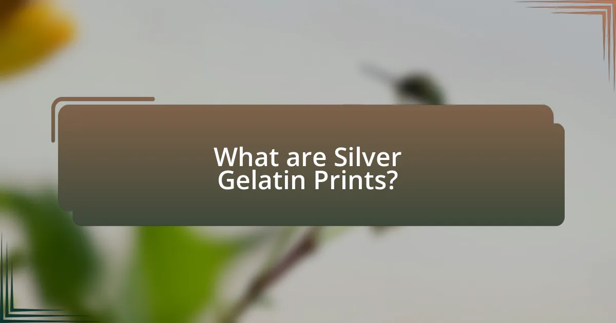 What are Silver Gelatin Prints?