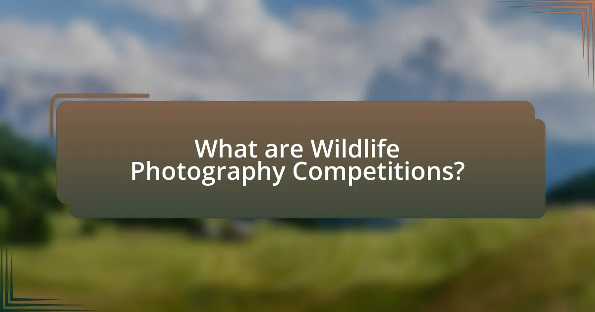 What are Wildlife Photography Competitions?