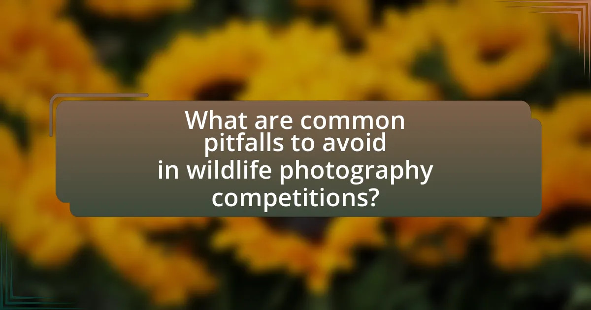 What are common pitfalls to avoid in wildlife photography competitions?