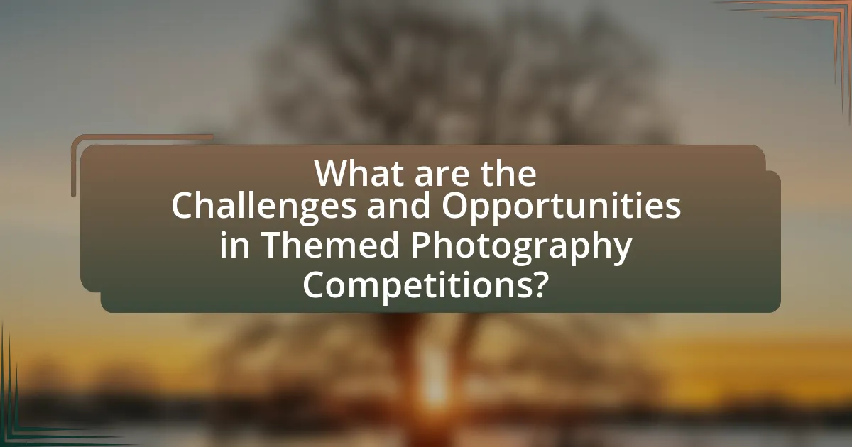 What are the Challenges and Opportunities in Themed Photography Competitions?