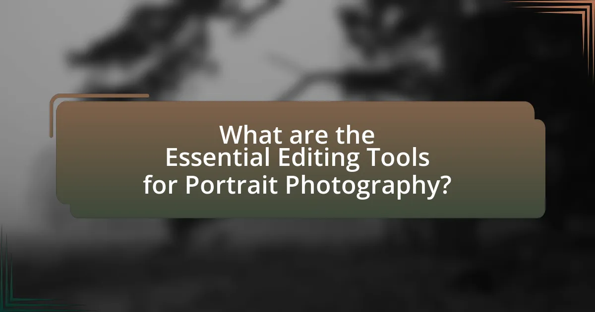 What are the Essential Editing Tools for Portrait Photography?