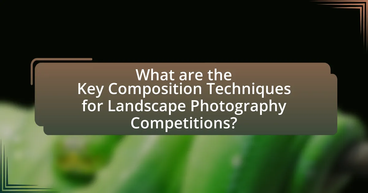 What are the Key Composition Techniques for Landscape Photography Competitions?