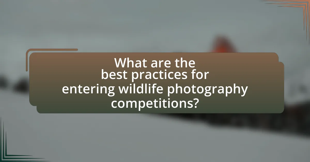 What are the best practices for entering wildlife photography competitions?