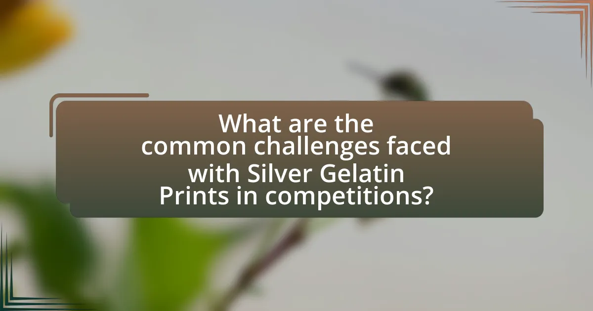 What are the common challenges faced with Silver Gelatin Prints in competitions?