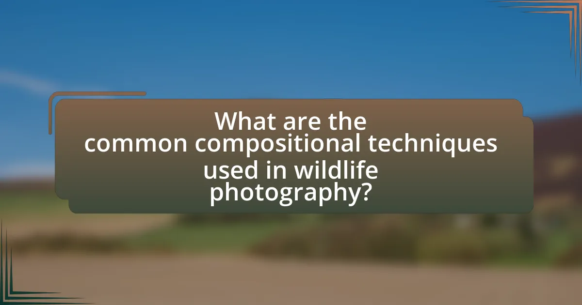 What are the common compositional techniques used in wildlife photography?