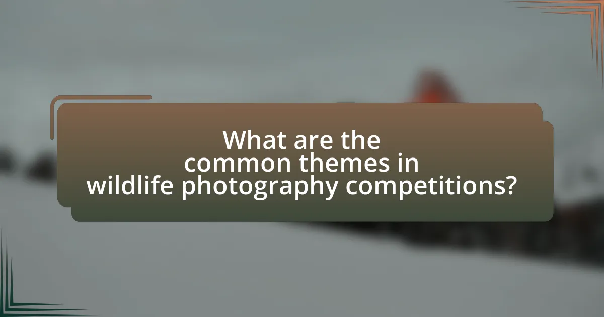 What are the common themes in wildlife photography competitions?
