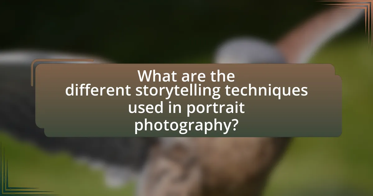 What are the different storytelling techniques used in portrait photography?