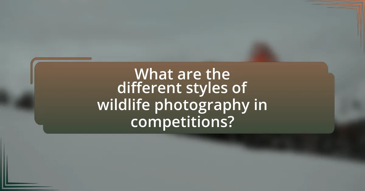 What are the different styles of wildlife photography in competitions?