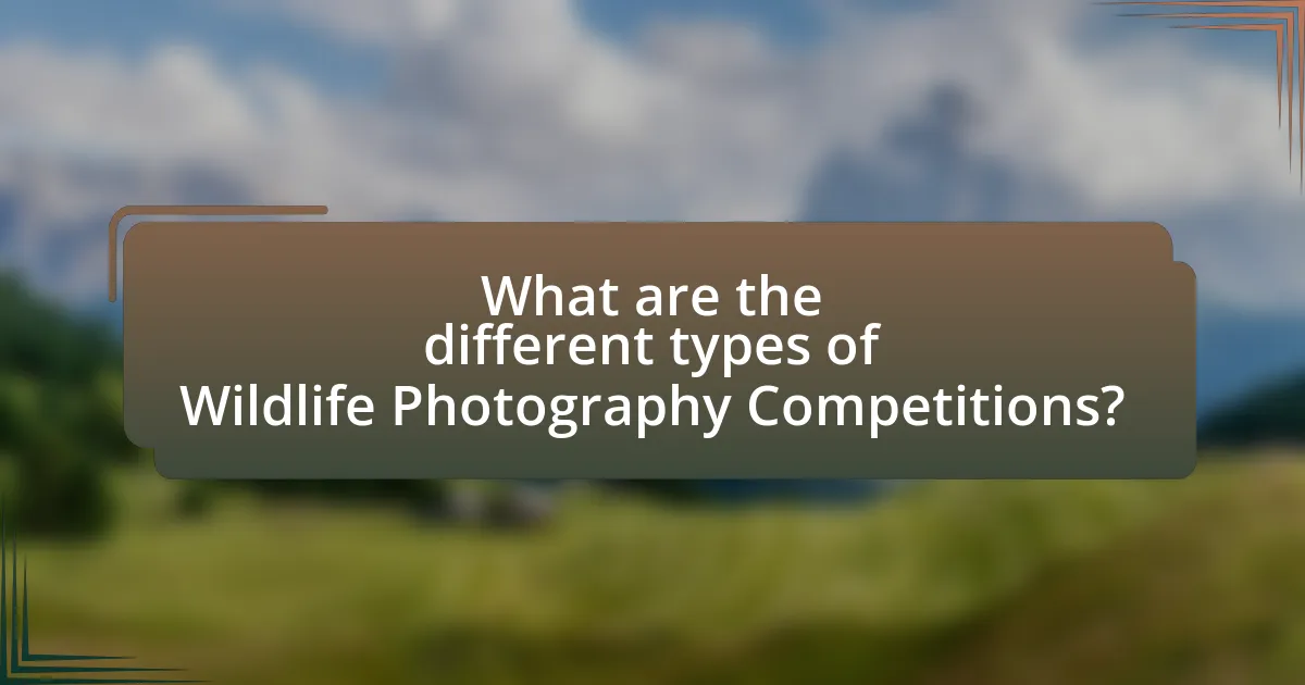 What are the different types of Wildlife Photography Competitions?