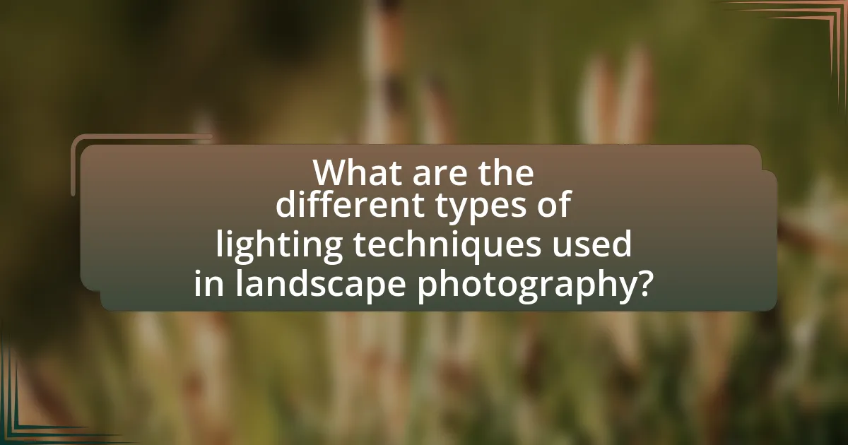 What are the different types of lighting techniques used in landscape photography?