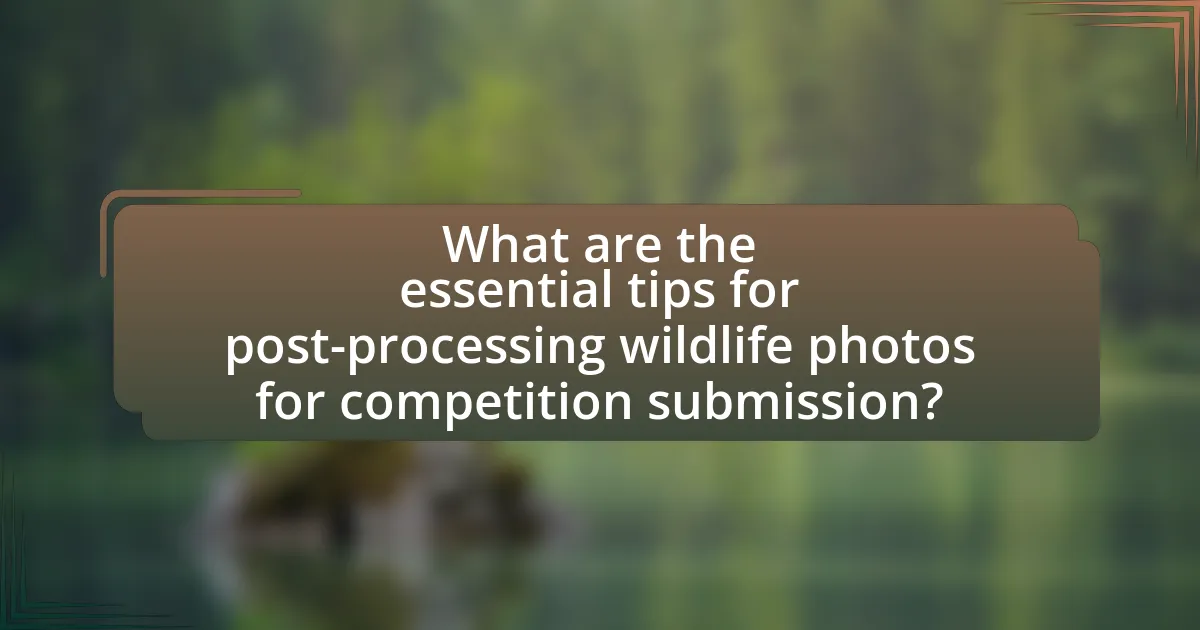 What are the essential tips for post-processing wildlife photos for competition submission?