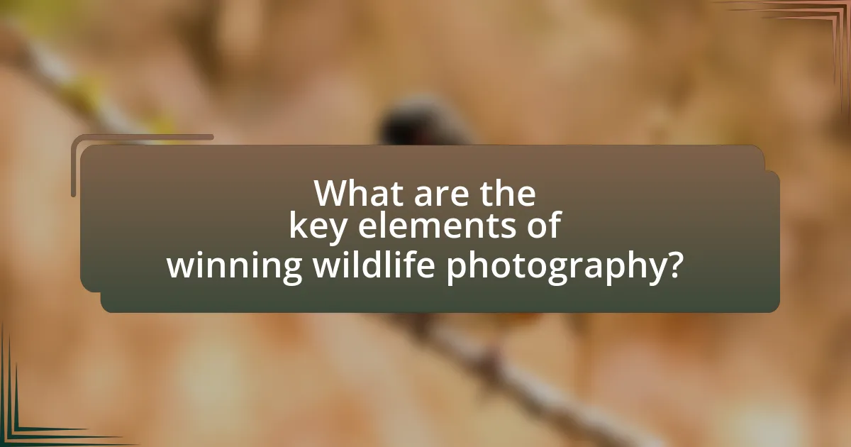 What are the key elements of winning wildlife photography?