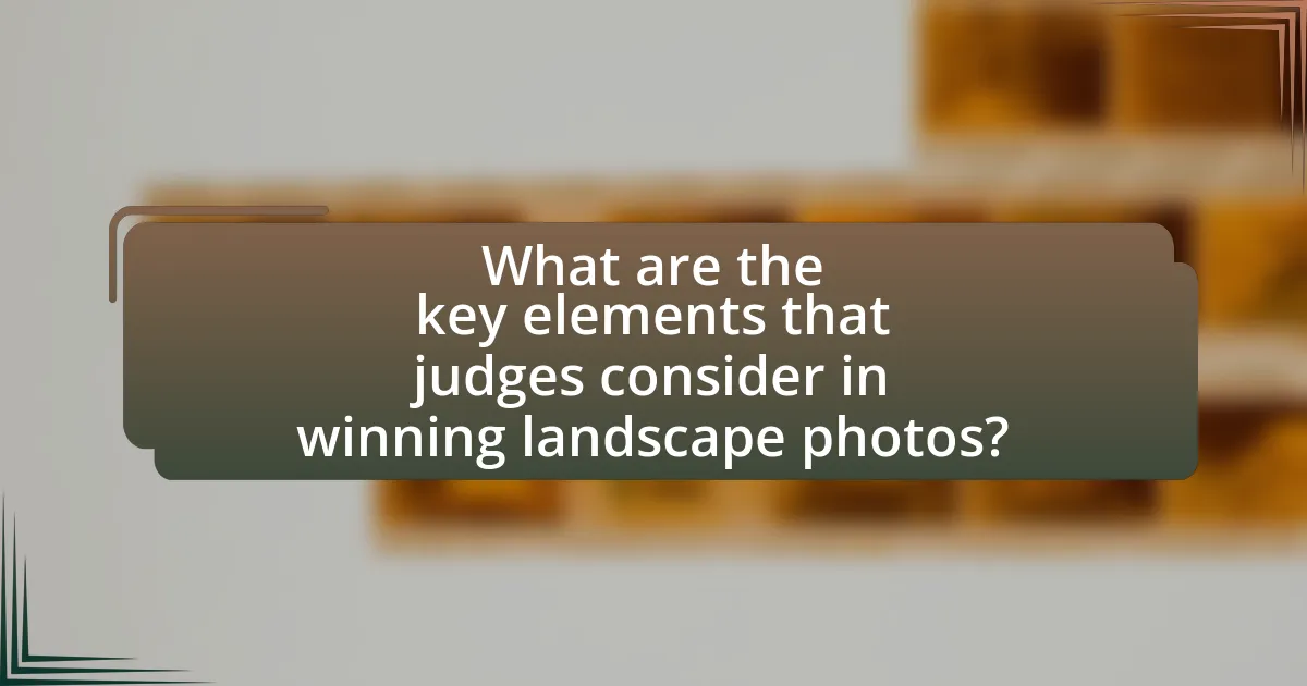 What are the key elements that judges consider in winning landscape photos?