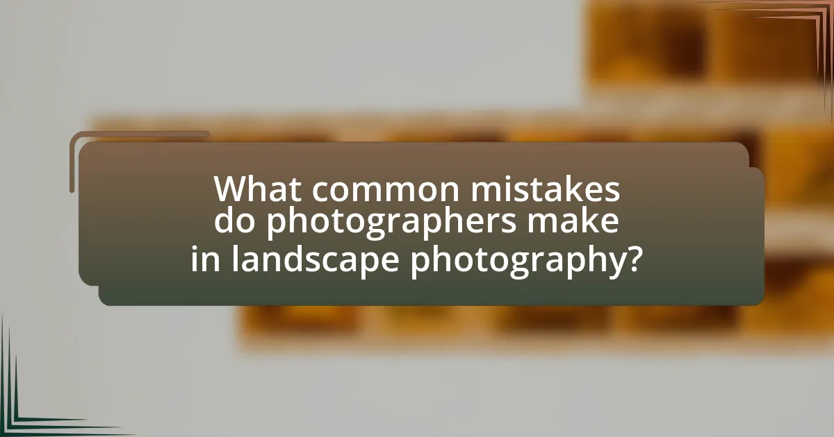 What common mistakes do photographers make in landscape photography?