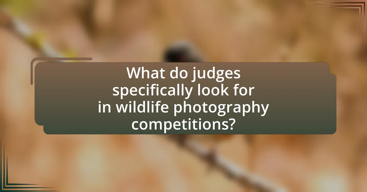 What do judges specifically look for in wildlife photography competitions?