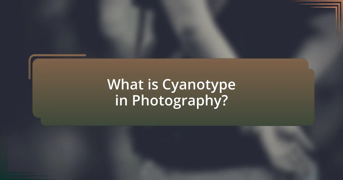 What is Cyanotype in Photography?