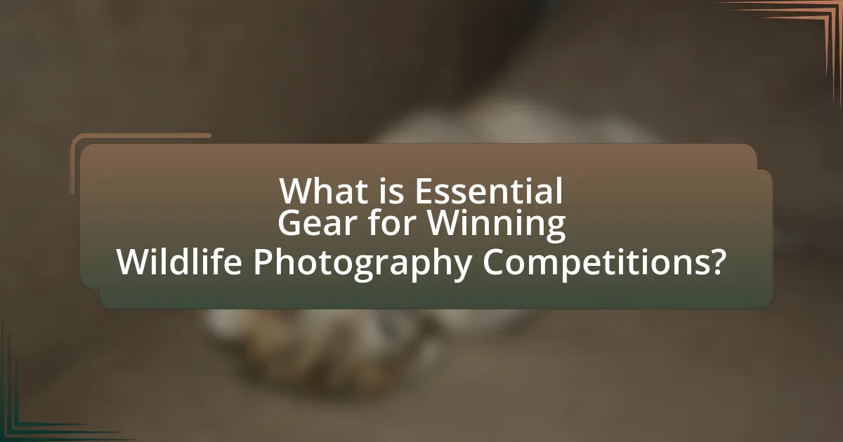 What is Essential Gear for Winning Wildlife Photography Competitions?