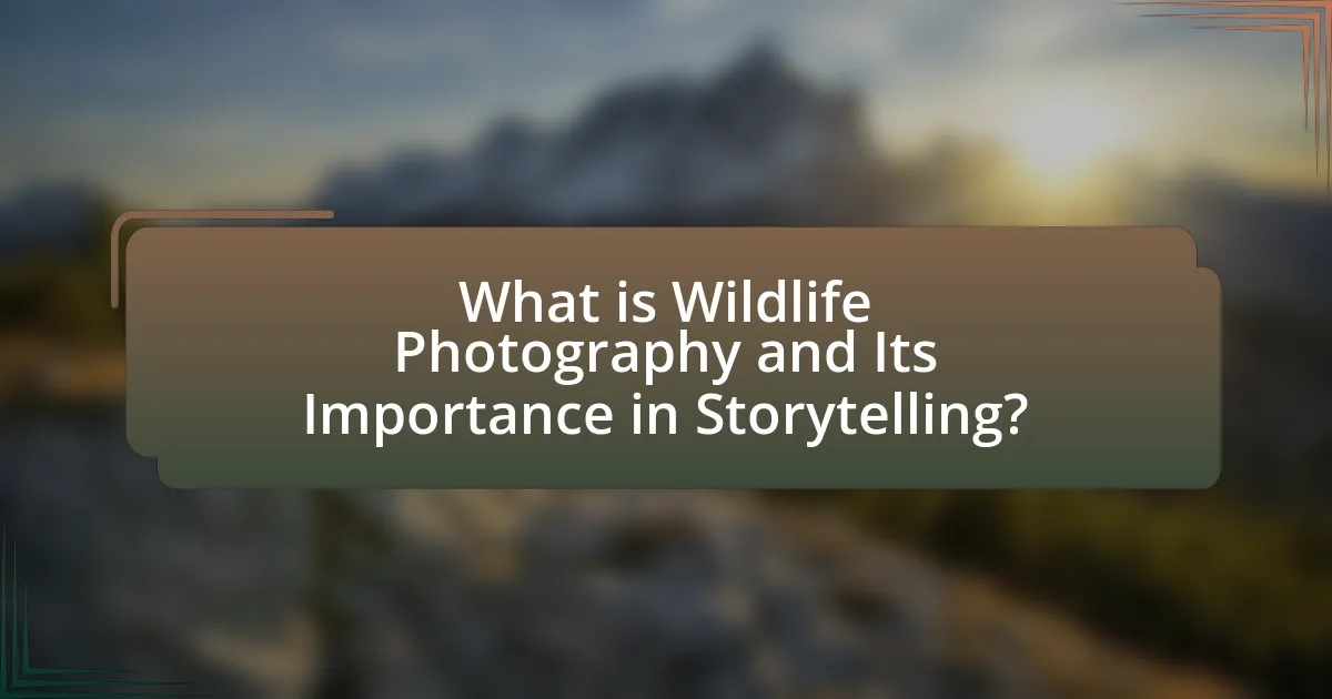 What is Wildlife Photography and Its Importance in Storytelling?