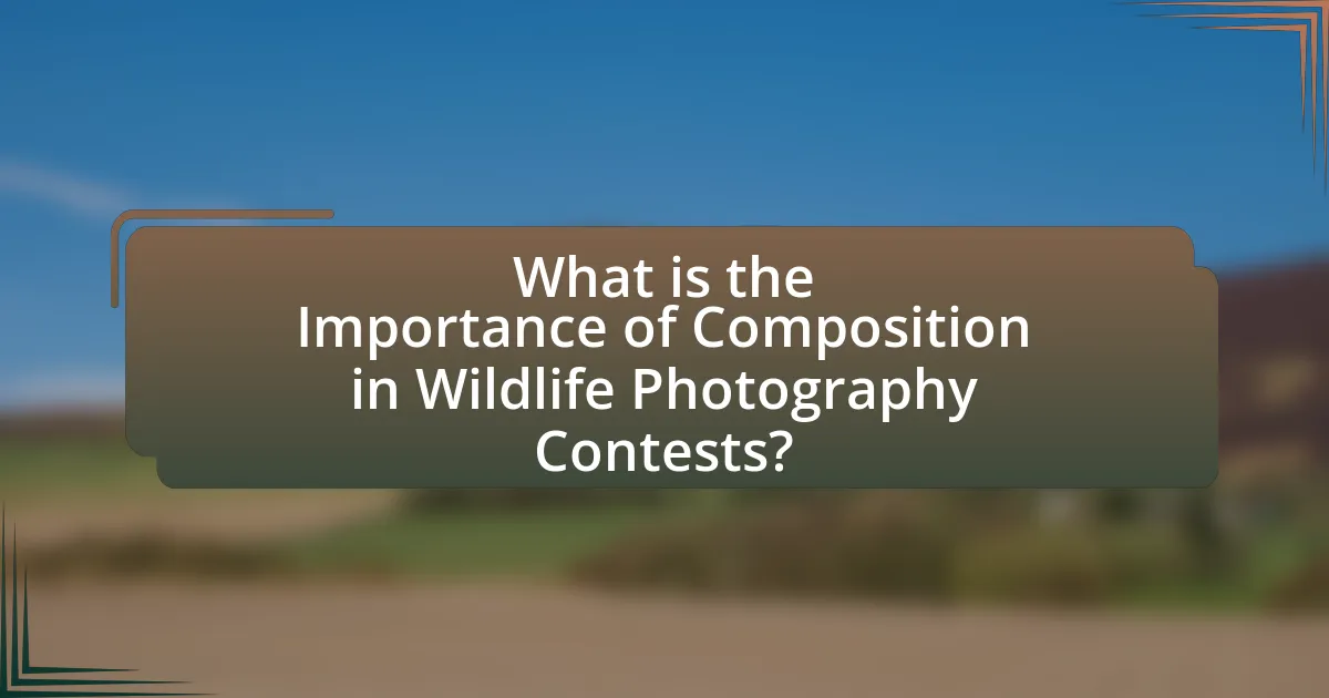 What is the Importance of Composition in Wildlife Photography Contests?