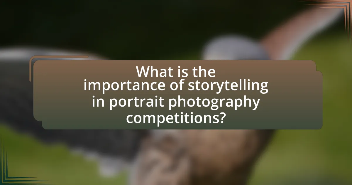 What is the importance of storytelling in portrait photography competitions?