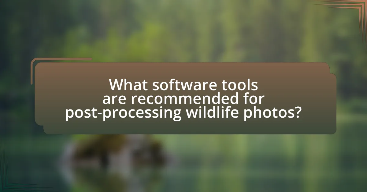 What software tools are recommended for post-processing wildlife photos?