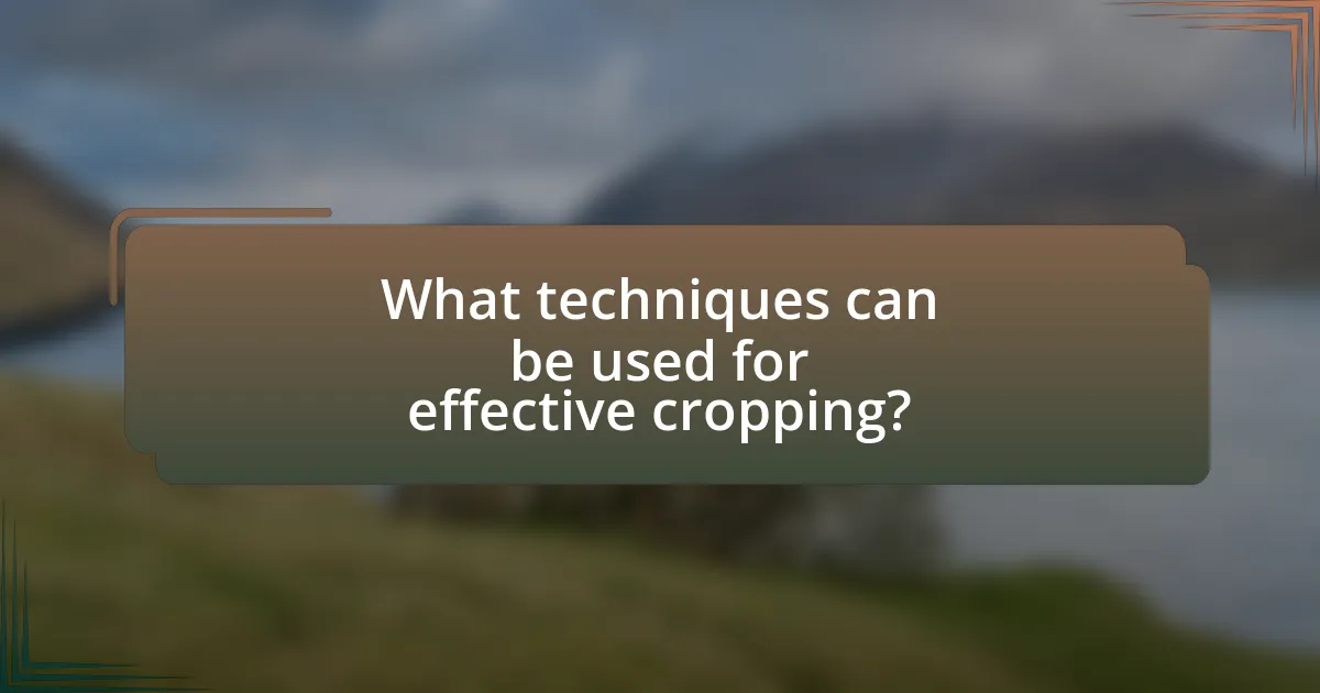 What techniques can be used for effective cropping?