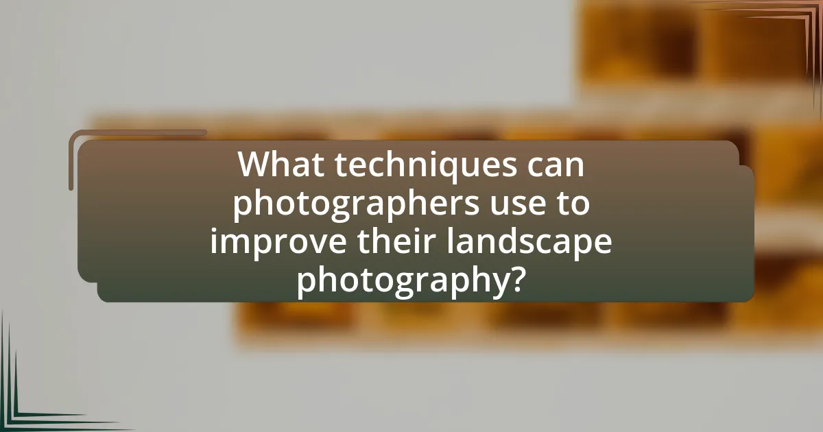 What techniques can photographers use to improve their landscape photography?